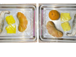 BGN Klarifikasi Video Viral Bandeng Mentah di Program Makan Bergizi Gratis Bantul, Dipastikan Sudah Matang