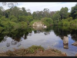 Jembatan Penghubung Buloh Seuma Trumon –  Kuala Baru Aceh Singkil Putus, Akses Lumpuh Total