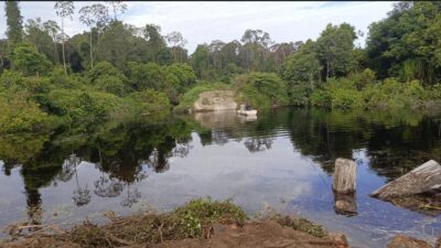 Jembatan Penghubung Buloh Seuma Trumon –  Kuala Baru Aceh Singkil Putus, Akses Lumpuh Total