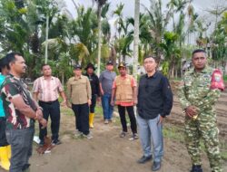 Pemprov Aceh dan Pemkab Pidie Jaya Genjot Rehabilitasi 141 Hektare Sawah Rusak, Target Tanam Musim Gadu
