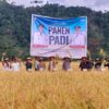 Bupati Aceh Selatan Pimpin Panen Raya di Kluet Timur, Tegaskan Komitmen Swasembada Pangan