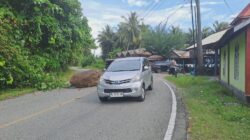 Nyaris Makan Korban, Batu Besar Jatuh di Jalur Samadua