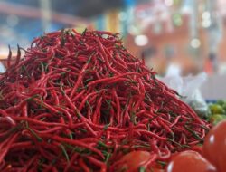 Harga Sayur di Pasar Inpres Tapaktuan Melonjak, Pedagang dan Pembeli Mengeluh