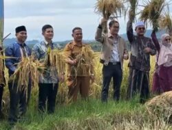 IPB Kenalkan Varietas Padi ‘Cerdas Iklim’ di Aceh, Siap Dongkrak Produktivitas hingga 11,5 Ton per Hektare