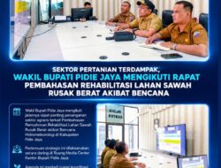 Sawah Rusak Pascabanjir Jadi Prioritas, Wakil Bupati Pidie Jaya Kawal Usulan Rehabilitasi ke Pemerintah Pusat