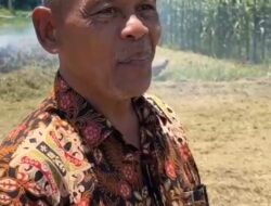 Jejak Karier Rusdi, SP: Dari Staf Lapangan Hingga Sekretaris Dinas Pertanian dan Pangan Pidie Jaya