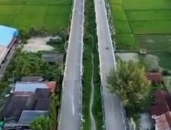 19 Tahun Pidie Jaya: Dari Daerah Pemekaran Menjadi Lumbung Harapan di Pantai Utara Aceh