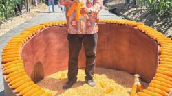 Plt Kadis Pertanian dan Pangan Pidie Jaya Tinjau Inovasi Jagung Hibrida di PENAS XVII Gorontalo