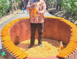 Plt Kadis Pertanian dan Pangan Pidie Jaya Tinjau Inovasi Jagung Hibrida di PENAS XVII Gorontalo