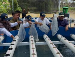 USK Hadirkan Teknologi Akuaponik Cerdas di Pidie Jaya, Warga Korban Banjir Kini Bisa Panen Ikan dan Sayur Sekaligus