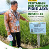 Plt Kadis Pertanian dan Pangan Pidie Jaya Tinjau Demplot Inpari 42 di PENAS XVII Gorontalo, Cari Formula Tingkatkan Produksi Pangan Daerah