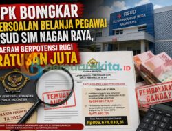 BPK Bongkar Persoalan Belanja Pegawai RSUD SIM Nagan Raya, Daerah Berpotensi Rugi Ratusan Juta
