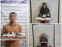 Polres Aceh Selatan Bongkar Jaringan Ganja, Tiga Tersangka Ditangkap dan 110 Batang Ganja Disita