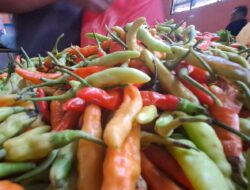 Harga Sayuran di Aceh Selatan Melonjak, Cabai Rawit Tembus Rp80 Ribu, Pasar Inpres Tapaktuan Sepi