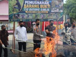 Polres Aceh Selatan Musnahkan 110 Batang Ganja Hasil Pengungkapan Ladang Narkoba