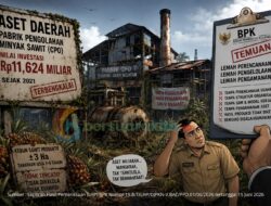 BPK Ungkap Aset Pabrik CPO Rp11,6 Miliar Milik Pemkab Aceh Selatan Terbengkalai, Kebun Sawit Produktif Tak Terkelola