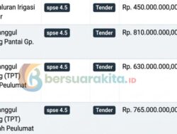 4 Proyek PUPR Aceh Selatan Senilai Rp2,65 Miliar Mulai Ditender