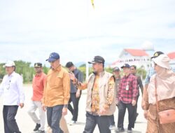 Lumpur Mengubur Sawah dan Tambak Pidie Jaya, Bupati Desak Pemerintah Pusat Bergerak Cepat