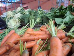 Harga Sayur di Pasar Inpres Tapaktuan Hari Ini, Cabai Rawit Turun Jadi Rp65 Ribu per Kilogram