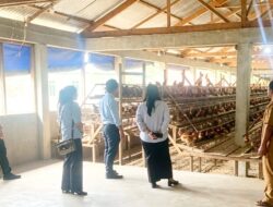 Kejari Tapsel Cek Program Ketahanan Pangan Dana Desa di Empat Desa Sipirok