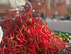 Harga Cabai di Pasar Inpres Tapaktuan Naik Jadi Rp65 Ribu per Kilogram