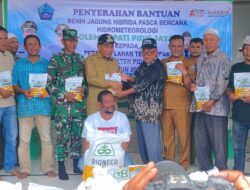 Pascabencana, Pidie Jaya Salurkan 9,27 Ton Benih Jagung untuk 618 Hektare Lahan
