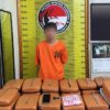 Bawa 20 Kg Ganja, Diduga Kurir Diringkus Satresnarkoba Polres Padangsidimpuan
