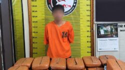 Bawa 20 Kg Ganja, Diduga Kurir Diringkus Satresnarkoba Polres Padangsidimpuan
