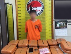 Bawa 20 Kg Ganja, Diduga Kurir Diringkus Satresnarkoba Polres Padangsidimpuan