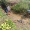 Petani Kluet Utara Keluhkan Belum Terima Program BASAGA, Akses Air Sawah Juga Sulit