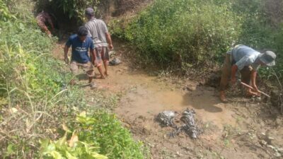 Petani Kluet Utara Keluhkan Belum Terima Program BASAGA, Akses Air Sawah Juga Sulit