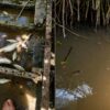 Ikan Kembali Mati di Krueng Luas, For-PAS Desak Pemda dan APH Usut Dugaan Pencemaran PT ATAK
